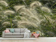Load image into Gallery viewer, Photo Wallpaper Ornamental grass in the wind
