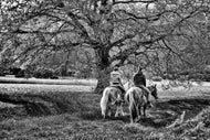 Photo Wallpaper Two riders