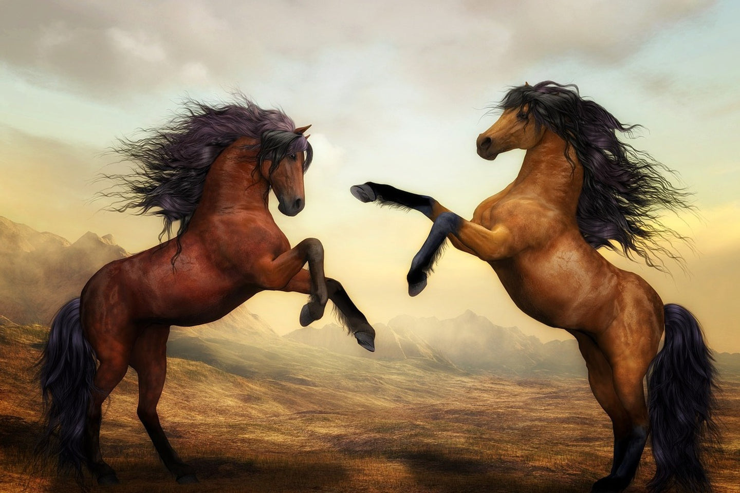 Photo Wallpaper Two wild horses