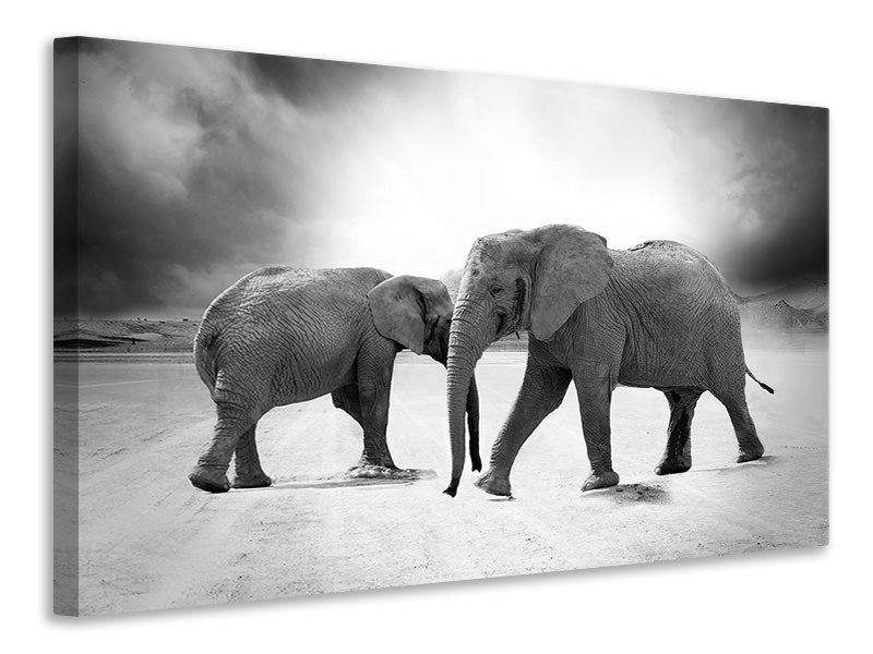Canvas print 2 elephants sw