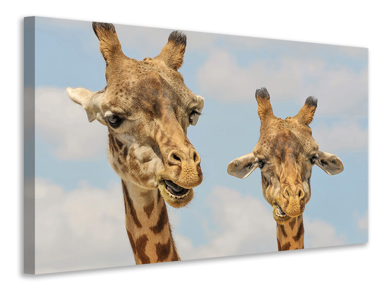 Canvas print 2 giraffes