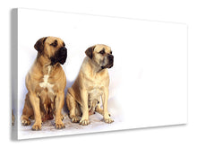 Load image into Gallery viewer, Canvas print 2 mastiffs

