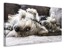 Load image into Gallery viewer, Canvas print 2 cute dogs
