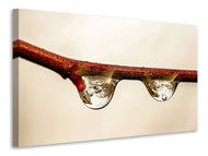 Canvas print 2 raindrops