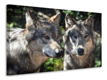 Load image into Gallery viewer, Canvas print 2 wolves
