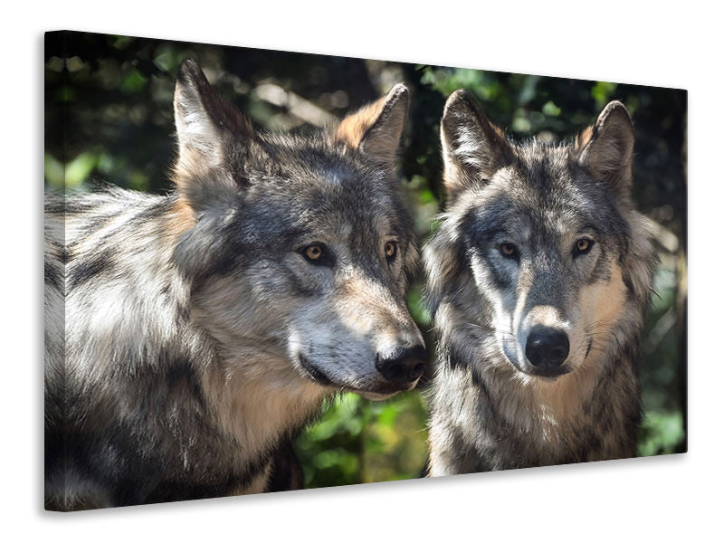 Canvas print 2 wolves