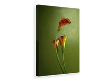 Load image into Gallery viewer, Canvas print 3 Callas
