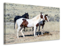 Load image into Gallery viewer, Canvas print 3 wild horses
