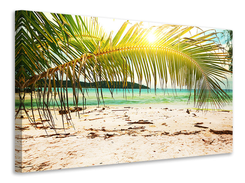 Canvas print Swing Out Of The Hammock.