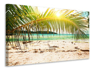 Canvas print Swing Out Of The Hammock.