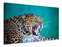 Load image into Gallery viewer, Canvas print Attention Leopard
