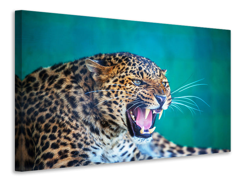 Canvas print Attention Leopard