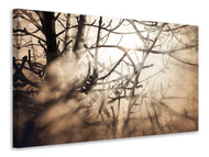 Canvas print Branches In Fog Light