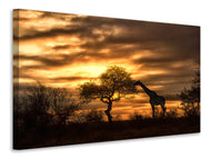 Canvas print African Dreams