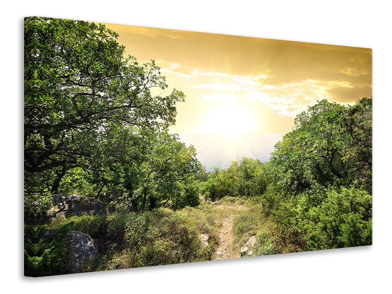 Canvas print At The End Of The forest