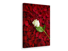 Load image into Gallery viewer, Canvas print Bed Of Roses
