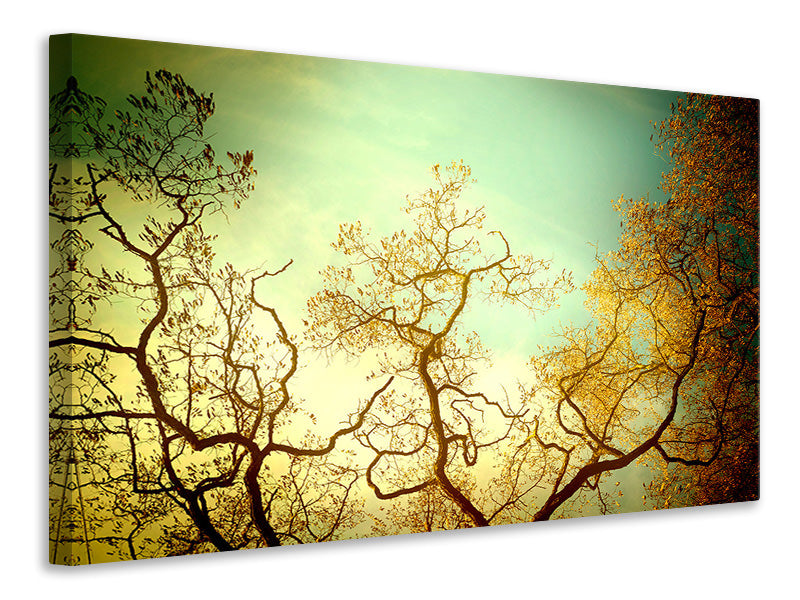 Canvas print Autumn Trees