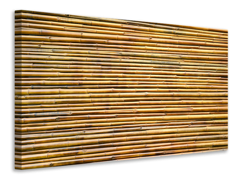 Canvas print Horizontal Bamboo Wall