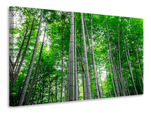 Load image into Gallery viewer, Canvas print Bamboo Forest
