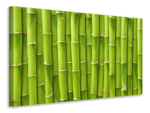 Load image into Gallery viewer, Canvas print Bamboo Wall
