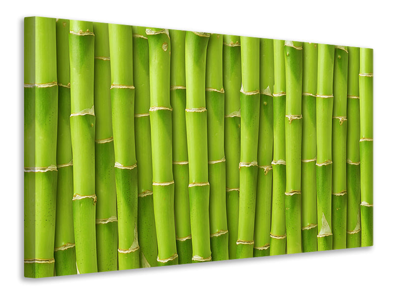Canvas print Bamboo Wall
