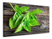 Load image into Gallery viewer, Canvas print Basil Leaves
