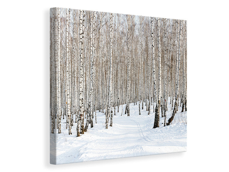Canvas print Birch Forest Tracks In Snow