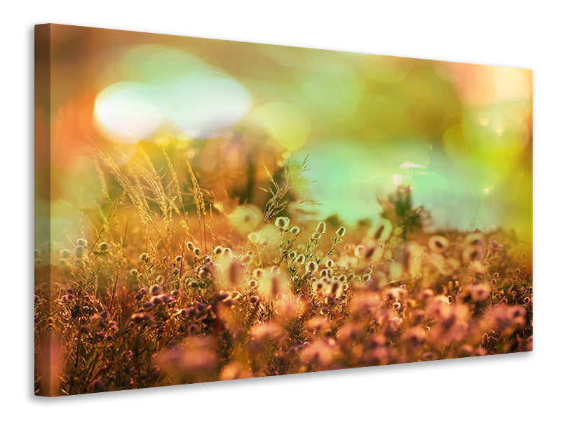 Canvas print Flower Meadow At Twilight