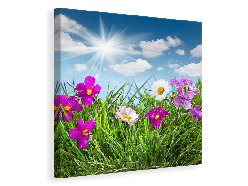 Canvas print Flowering Meadow