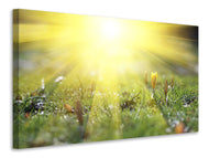 Canvas print Flowery Meadow