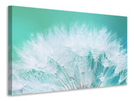 Canvas print Close Up Dandelion In Morning Dew