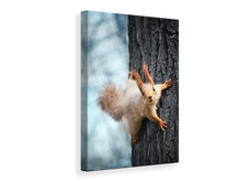 Load image into Gallery viewer, Canvas print The Squirrel
