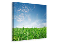 Canvas print The Grass