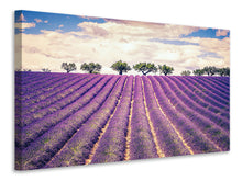 Load image into Gallery viewer, Canvas print The Lavender Field
