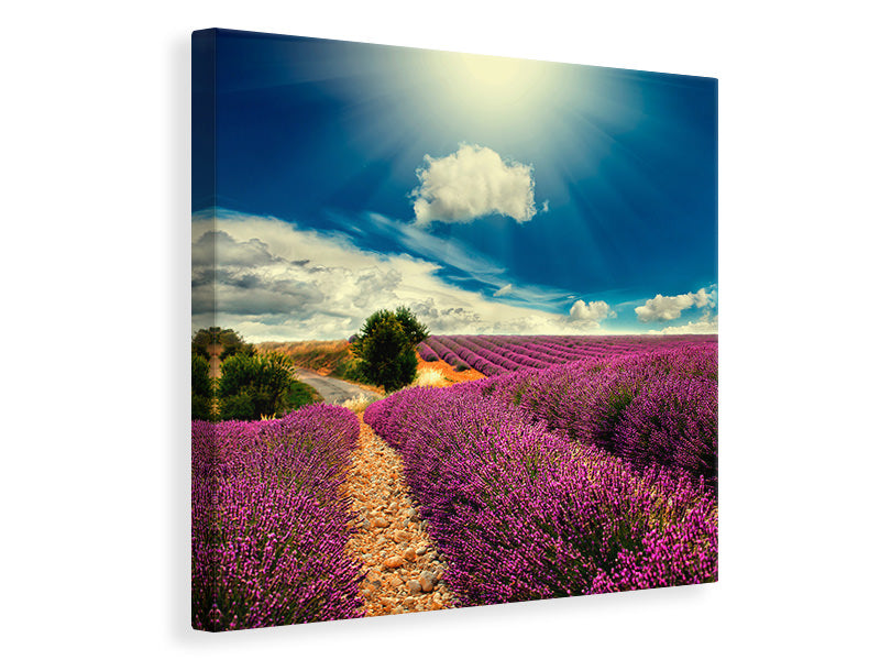 Canvas print The Lavender Valley
