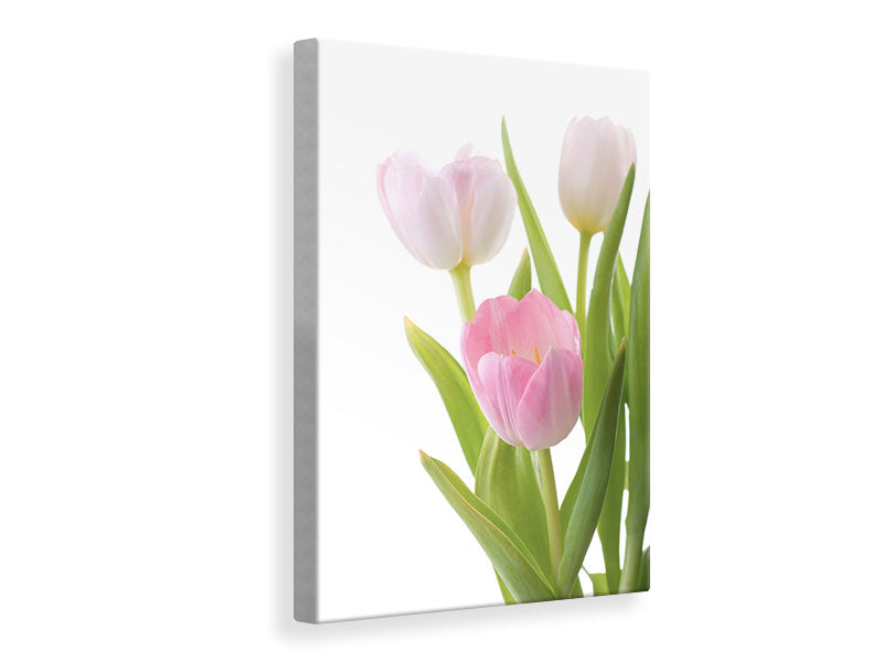 Canvas print The Tulips Trio