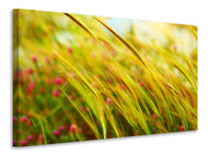 Canvas print The Wheat Field