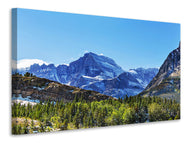 Canvas print The Summit Counter
