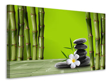 Load image into Gallery viewer, Canvas print Bamboo
