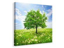 Load image into Gallery viewer, Canvas print The Tree

