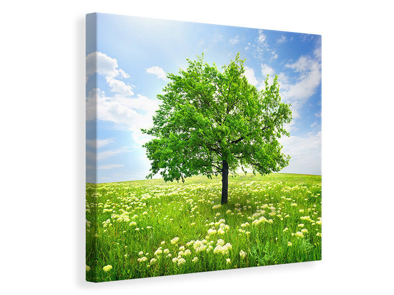 Canvas print The Tree