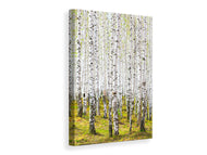 Canvas print The Birch Forest In The Spring