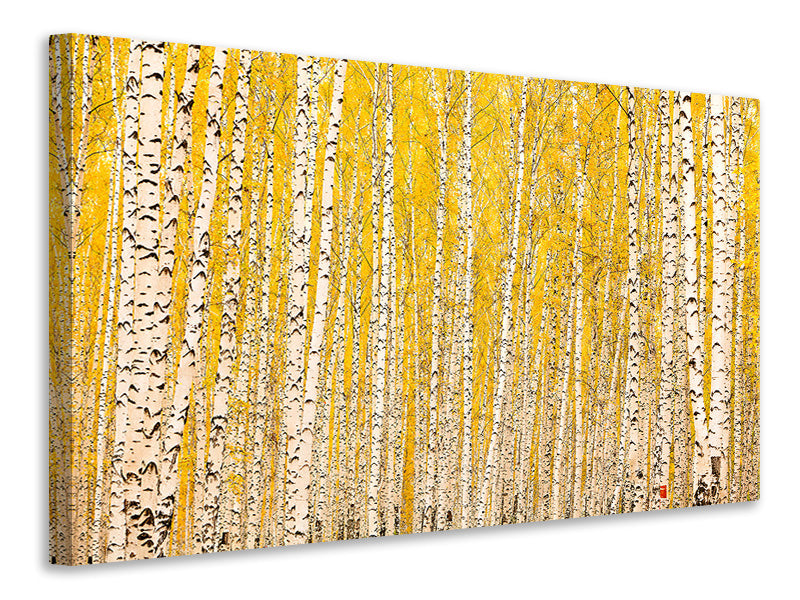 Canvas print The Birch Forest In Autumn