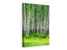 Load image into Gallery viewer, Canvas print The Birch Forest In Summer
