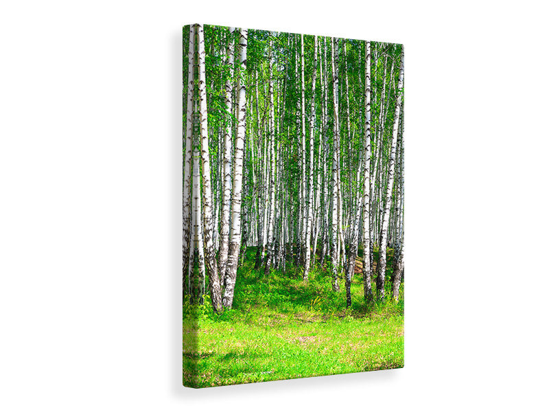 Canvas print The Birch Forest In Summer