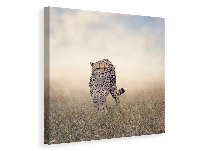 Canvas print The Cheetah
