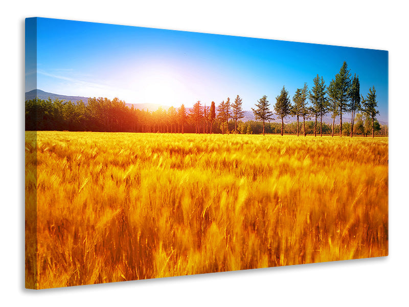 Canvas print The Autumn