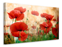 Load image into Gallery viewer, Canvas print The Poppy
