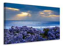 Load image into Gallery viewer, Canvas print Lavender And Sea
