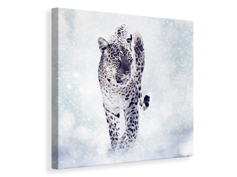 Canvas print Photo Wallaper The Leopard